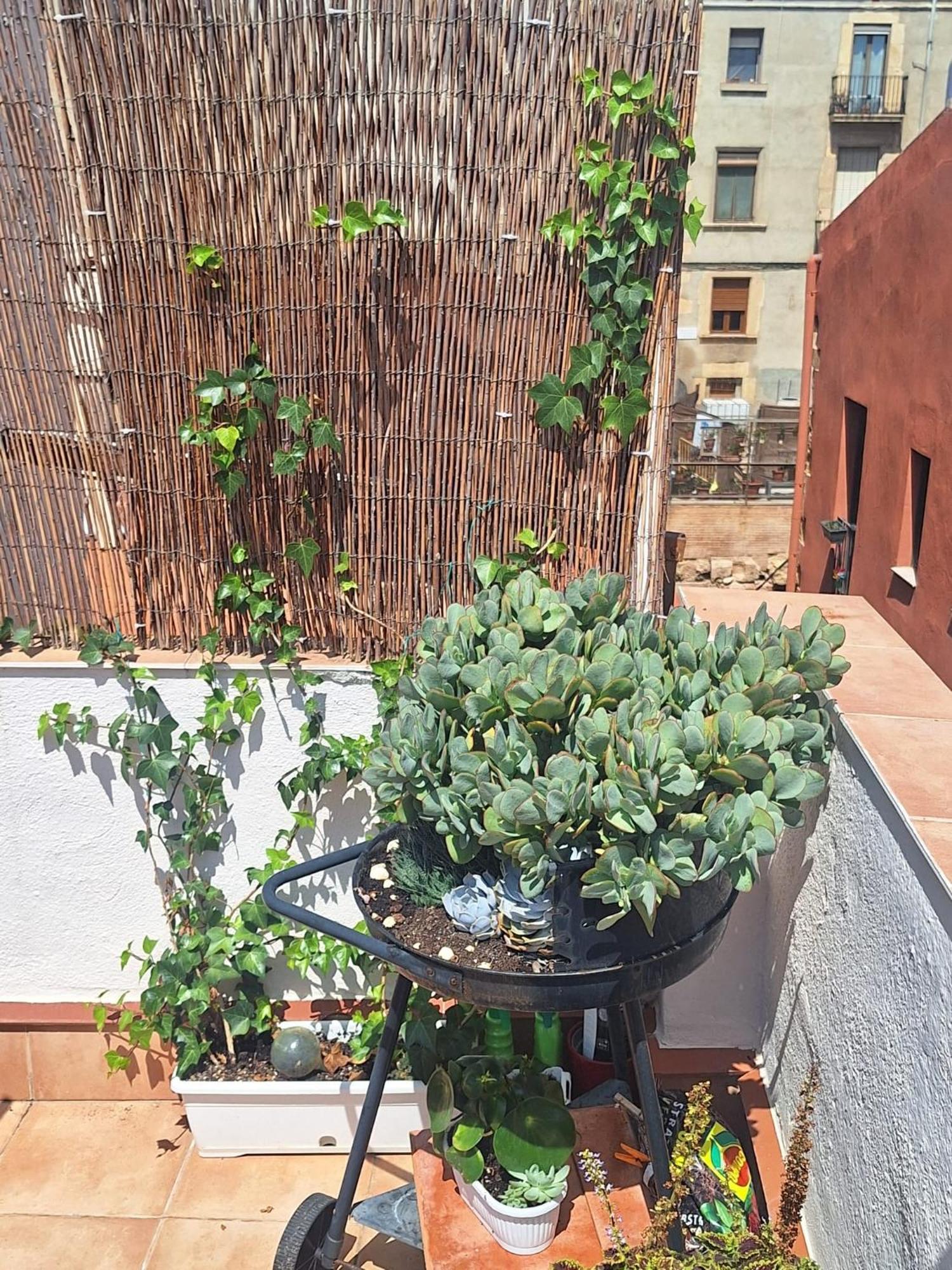 Appartamento El Terrat De La Tecla - Duplex Casc Antic Tarragona Esterno foto